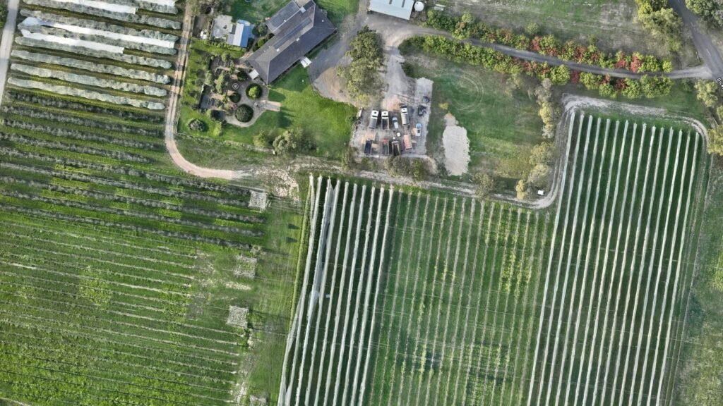 Aerial orthomosaic mapping of vineyard and orchard in Australia