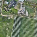Aerial orthomosaic mapping of vineyard and orchard in Australia